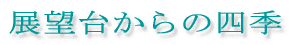 W]䂩̎lG